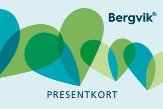 Bergvik