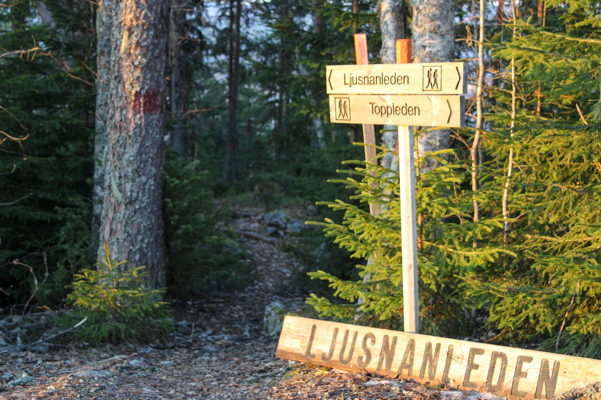 Ljusdal city image
